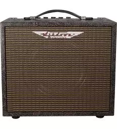 ASHDOWN - AMPLI ACOUSTIQUE 25 WATTS