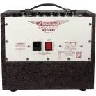 ASHDOWN - AMPLI ACOUSTIQUE 25 WATTS