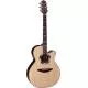 TAKAMINE - DSF48C NEX SANTA FE NATURAL GLOSS