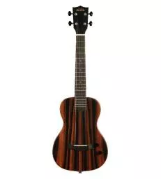 KALA - KA-SB-EBY-T_W/BAG SOLID BODY STRIPED EBONY TENOR LIVRE AVEC HOUSSE