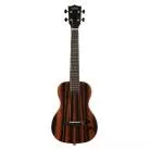 KALA - KA-SB-EBY-T_W/BAG SOLID BODY STRIPED EBONY TENOR LIVRE AVEC HOUSSE