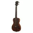 KALA - KA-SB-EBY-T_W/BAG SOLID BODY STRIPED EBONY TENOR LIVRE AVEC HOUSSE