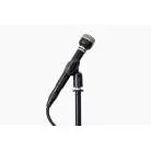 WARM AUDIO - WA-19 BLACK – MICROPHONE DYNAMIQUE CARDIOIDE