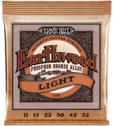 ERNIE BALL - 2148 EARTHWOOD...