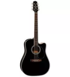 TAKAMINE - EF341DX
