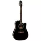 TAKAMINE - EF341DX
