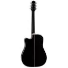 TAKAMINE - EF341DX