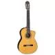 TAKAMINE - EH5C