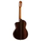 TAKAMINE - EH5C