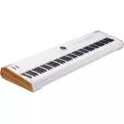 ARTURIA - CLAVIER ASTROLAB 88 TOUCHES, TOUCHER LOURD, BLANC