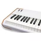 ARTURIA - CLAVIER ASTROLAB 88 TOUCHES, TOUCHER LOURD, BLANC