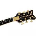 GRETSCH - G6134TG LIMITED EDITION PAISLEY PENGUIN™ WITH STRING-THRU BIGSBY®, EBONY FINGERBOARD, GOLD PAISLEY