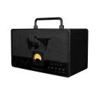 ASHDOWN - STATION D'ECOUTE BLUETOOTH HELLFEST NOIR 2 X 20W FONCTIONNANT SUR BATTERIE