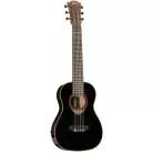 Basse Acoustique LAG