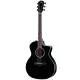 TAYLOR - 214CE-BLK PLUS