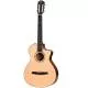 TAYLOR - 312CE-N - 312 CE NYLON