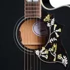 GIBSON - HUMMINGBIRD STANDARD EC, EBONY, EXCLUSIVE