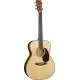 MARTIN - CS 000-14 - FLAMED MAHOGANY - SWISS - SEB