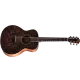 TAYLOR - GS Mini-e Special Edition, Paisley Burst