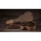 TAYLOR - GS Mini-e Special Edition, Paisley Burst
