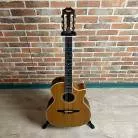 TAYLOR - 414CE-N + ETUI