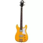 EPIPHONE - NEWPORT BASS CALIFORNIA CORAL