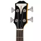 EPIPHONE - NEWPORT BASS CALIFORNIA CORAL