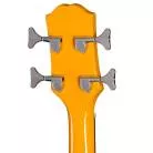 EPIPHONE - NEWPORT BASS CALIFORNIA CORAL