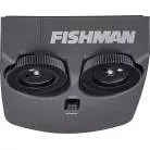 FISHMAN - FORMAT LARGE