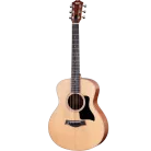 TAYLOR - GS MINI SAPELE
