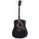 GIBSON - HUMMINGBIRD STANDARD, EBONY, EXCLUSIVE