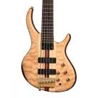 GIBSON - CLASSIC V 5-STRING BASS INCL. PREMIUM GIG BAG SATIN NATURAL
