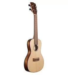 KALA - KA-SSTU-C TRAVEL CONCERT MAHOGANY HOUSSE DELUXE