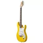 PRS GUITARS - SE SILVER SKY DANDY LION