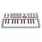 AKAI PROFESSIONAL - MINI TOUCHES - 25 TOUCHES, 8 PADS, 8 ENCODEURS, GRIS