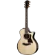TAYLOR - BE-814CE - 814 CE BUILDER'S EDITION