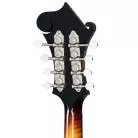 GIBSON - F-5G DARK BURST