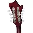 EPIPHONE - F-5 STUDIO INCL. PREMIUM GIG BAG WINE RED SATIN