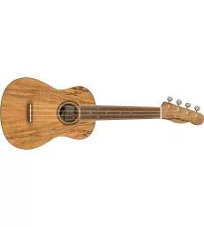 FENDER - ZUMA EXOTIC CONCERT WALNUT FINGERBOARD SPALTED MAPLE