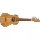 FENDER - ZUMA EXOTIC CONCERT WALNUT FINGERBOARD SPALTED MAPLE