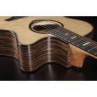 LÂG - AUDITORIUM CUTAWAY