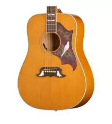 EPIPHONE - DOVE STUDIO, NATURAL
