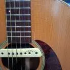 SEAGULL - ARTIST MOSAIC + LR BAGGS M1 + ETUI