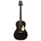 PRS GUITARS - SE PARLOR 20 PIEZO DG DOG HAIR