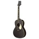 PRS GUITARS - SE PARLOR 20 PIEZO DG DOG HAIR