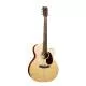 MARTIN - GRAND PERFORMANCE - GPC-13E MODERN,FG,SPR/KOAFV