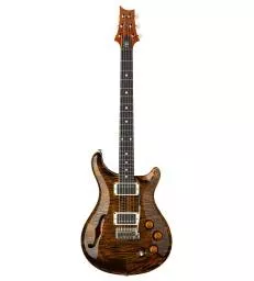 PRS GUITARS - DGT SEMI-HOLLOW TIGER EYE MOONS