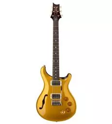 PRS GUITARS - DGT SEMI-HOLLOW GOLD TOP MOONS