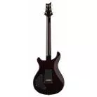 PRS GUITARS - DGT SEMI-HOLLOW GOLD TOP BIRDS