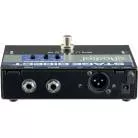 RADIAL ENGINEERING - PEDALE INSTRUMENT